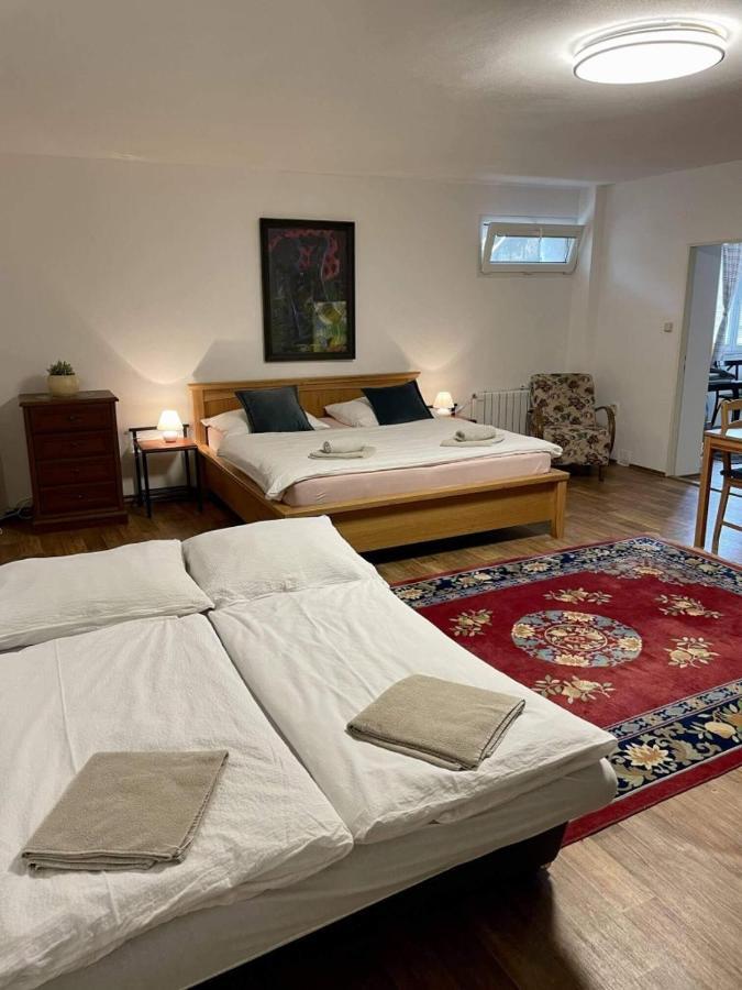 Apartman Lipa ミクロフ エクステリア 写真